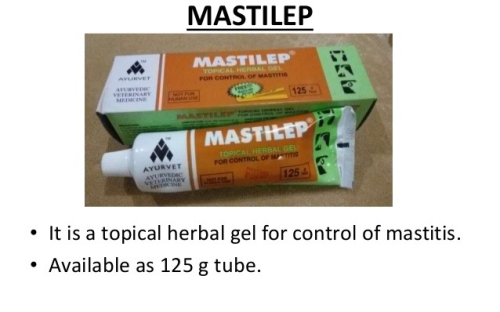 MASTILEP – GEL THOA THẢO DƯỢC – ẤN ĐỘ