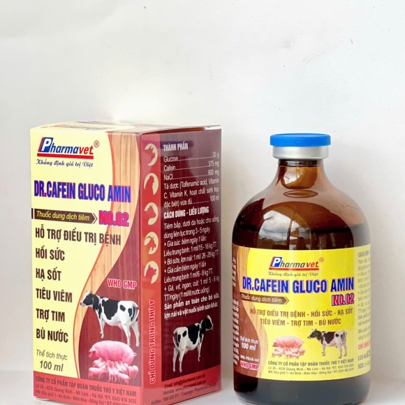 DR.CAFEIN GLUCO AMIN - HỖ TRỢ ĐIỀU TRỊ BỆNH, HỒI SỨC, HẠ SỐT, TIÊU VIÊM, TRỢ TIM, BÙ NƯỚC 