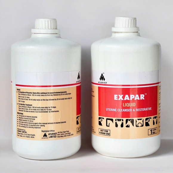 EXAPAR - CHỐNG SÓT NHAU, GIẢM MẤT MÁU SAU SINH, LÀM SẠCH TỬ CUNG, TỬ CUNG MAU HỒI PHỤC