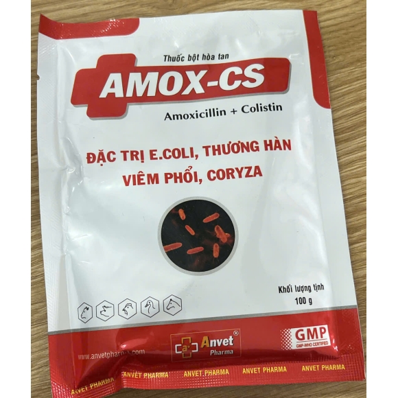 AMOX-CS - ĐẶC TRỊ E.COLI, THƯƠNG HÀN, VIÊM PHỔI, CORYZA