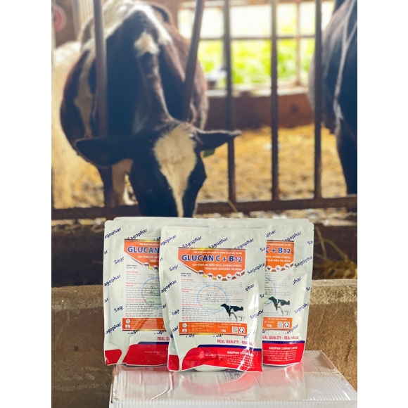 GLUCAN C + B12 - THỨC ĂN BỔ SUNG BETA - GLUCAN VÀ VITAMIN CHO GIA SÚC GIA CẦM