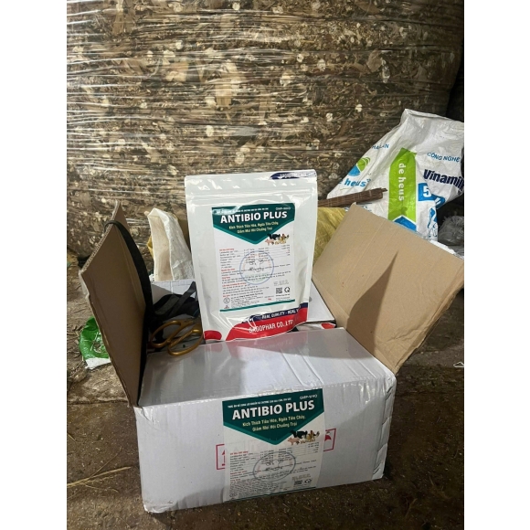ANTIBIO PLUS -THỨC ĂN BỔ SUNG LỢI KHUẨN VÀ ENZIM CHO GIA SÚC GIA CẦM - KÍCH THÍCH TIÊU HOÁ , NGỪA TIÊU CHẢY , GIẢM MÙI HÔI CHUỒNG TRẠI