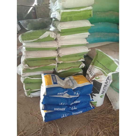 RINDAMIN MLF - Vitamin khoáng cho bò , dê , cừu ...