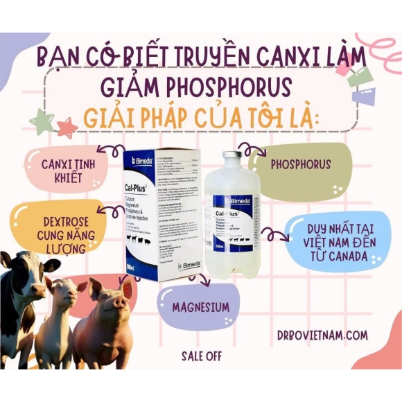 CAL PLUS - Giúp điều trị:  Sốt sữa (milk fever)  .Thiếu hụt canxi, glucose, magiê và phốt pho trên gia súc, cừu, heo và ngựa.