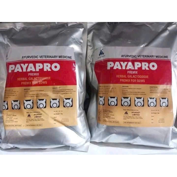 PAYAPRO PREMIX - TĂNG CƯỜNG TIẾT SỮA-PHÁT TRIỂN BẦU VÚ-NGĂN NGỪA VIÊM VÚ 